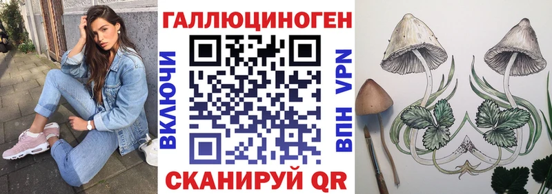 omg ТОР  Уфа  Псилоцибиновые грибы прущие грибы 